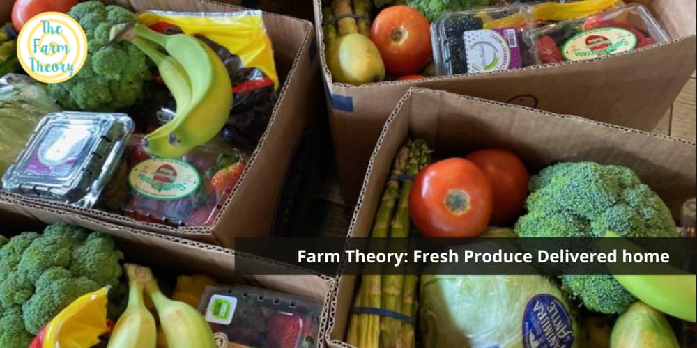 Farm Theory: Farm Fresh produce delivered at your doorstep