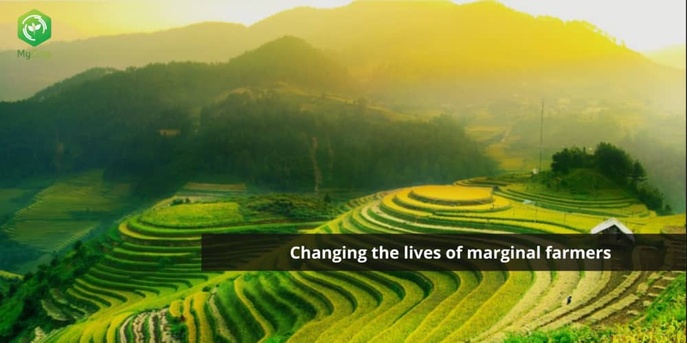 MyCrop Technologies: Changing the life of marginal farmers