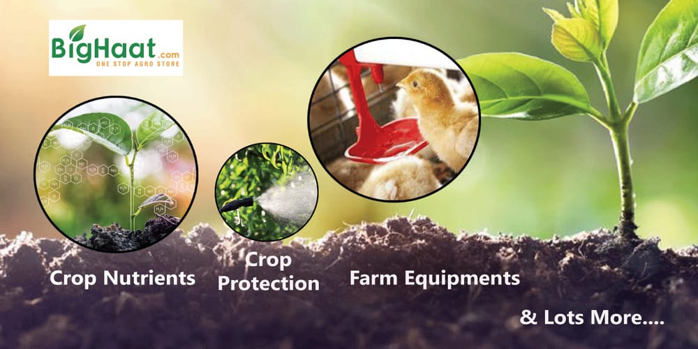 BigHaat: Agriculture now has an E-commerce Portal