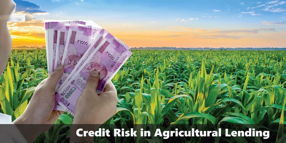Credit Risk in Agricultural Lending