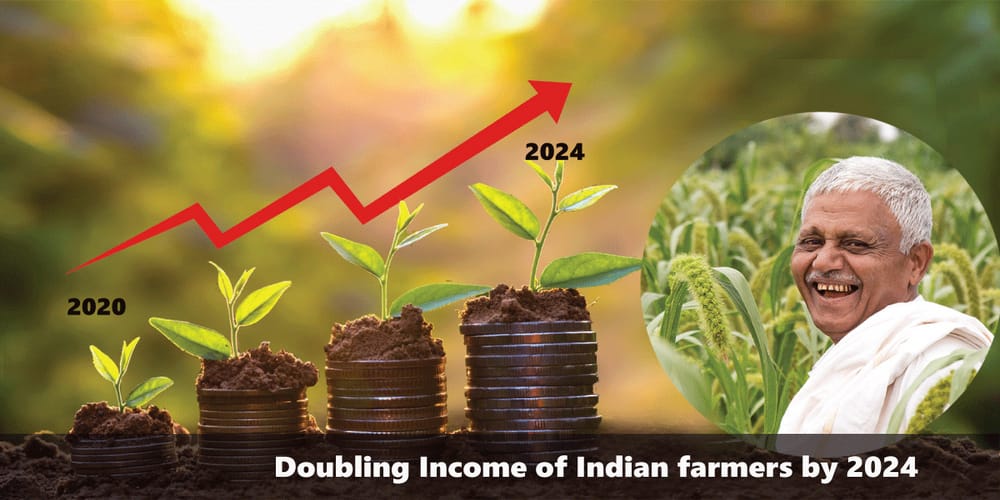 Doubling Income of Small Scale Farmers by 2024