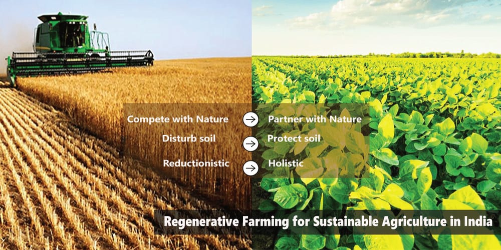 Regenerative Farming is the Path to Sustainable Agriculture