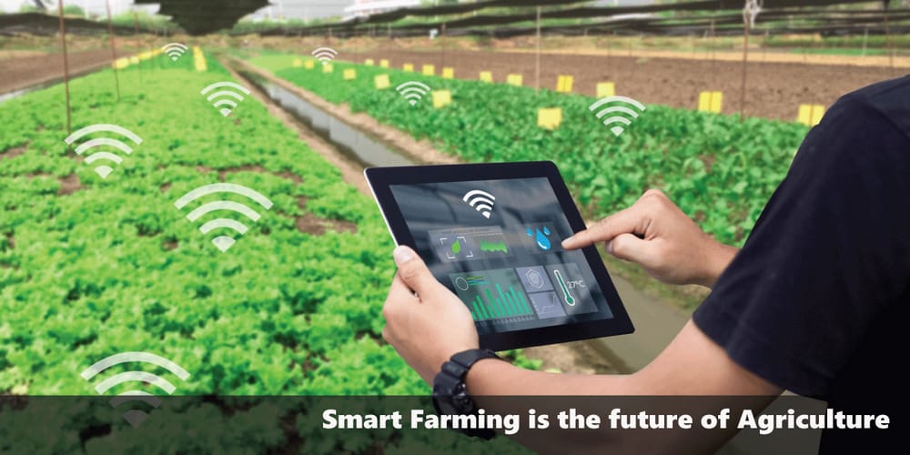 Smart Farming is the future of Agriculture
