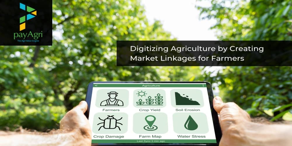 PayAgri: Bridging supply chain and digital transformation gap for farmers