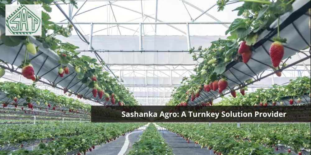 Sashanka Agro: A Turnkey Solution Provider by Introducing Modern Agricultural Technologies