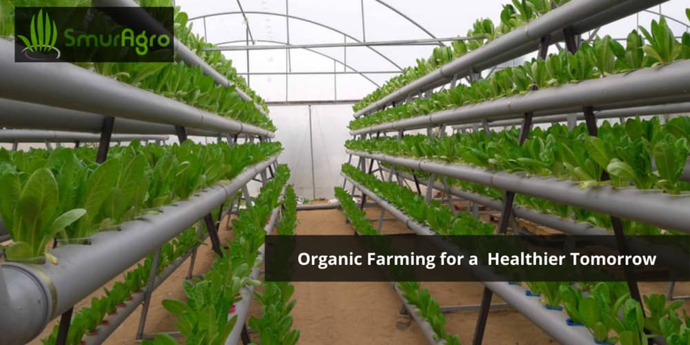 Smur Agro: Knows Organic Farming is the future