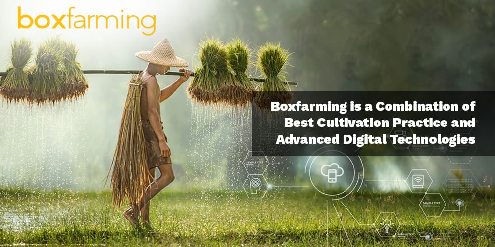 Boxfarming Technologies: The Harnessing of Digital platform to empower farmers