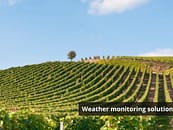 SkyMet: How to get crop weather predictions up to 12 months