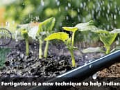 Fertigation is a new technique to help Indian Farmers