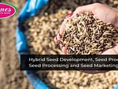 Nu-genes: Promoting Access to High Quality Genetically  Modified Crop Seeds
