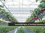 Sashanka Agro: A Turnkey Solution Provider by Introducing Modern Agricultural Technologies