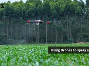 Thanos: Drones will spray seeds in farms now