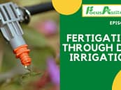 Fertigation through drip irrigation || Episode 11, 2021