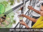 ICAR is the R&D backbone of India’s agriculture