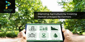 PayAgri bridges supply chain and digital transformation gap for farmers