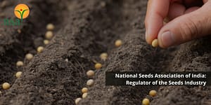 National Seeds