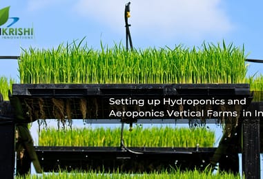 Hamari Krishi Innovations: How to raise Aeroponic and Hydroponic Farms