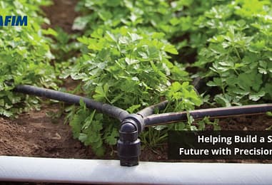 NETAFIM: Helping Build a Sustainable Future with Precision Irrigation