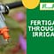 Fertigation through drip irrigation || Episode 11, 2021