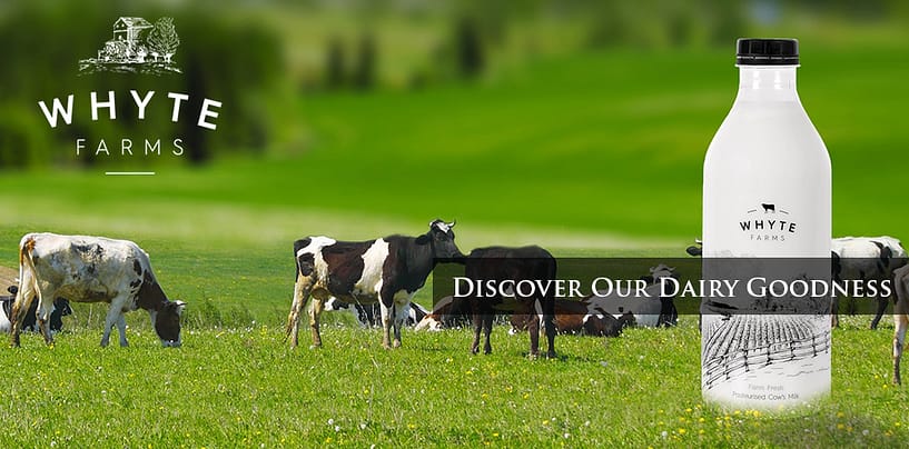 Whyte Farms: Buy Organic Milk from a high Tech Farm