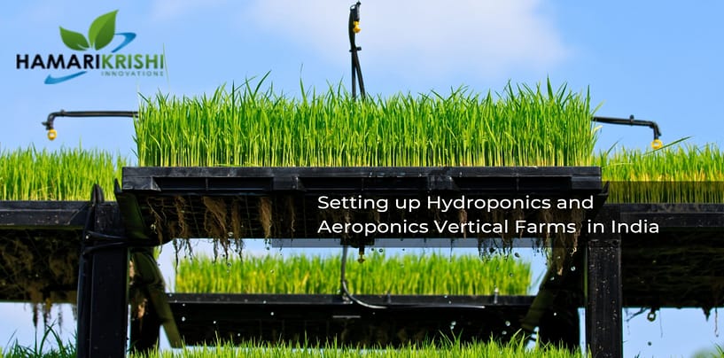 Hamari Krishi Innovations: How to raise Aeroponic and Hydroponic Farms