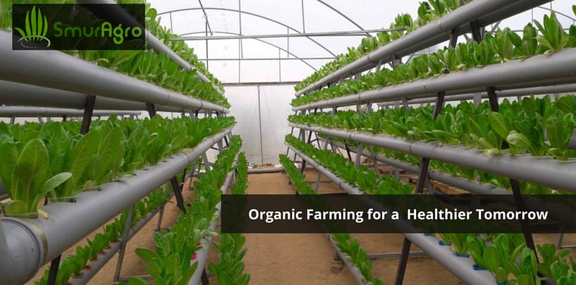Smur Agro: Knows Organic Farming is the future