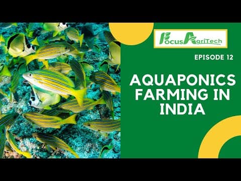 Aquaponics Farming in India || Episode 12, 2021