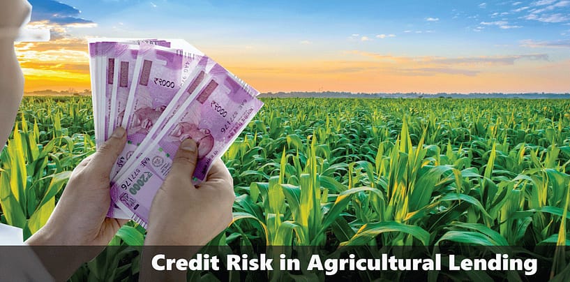 Credit Risk in Agricultural Lending