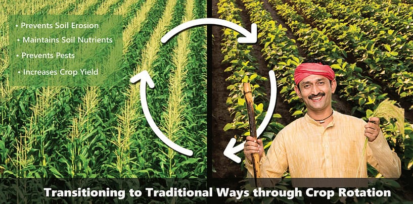 Crop Rotation for transitioning to traditional ways of farming