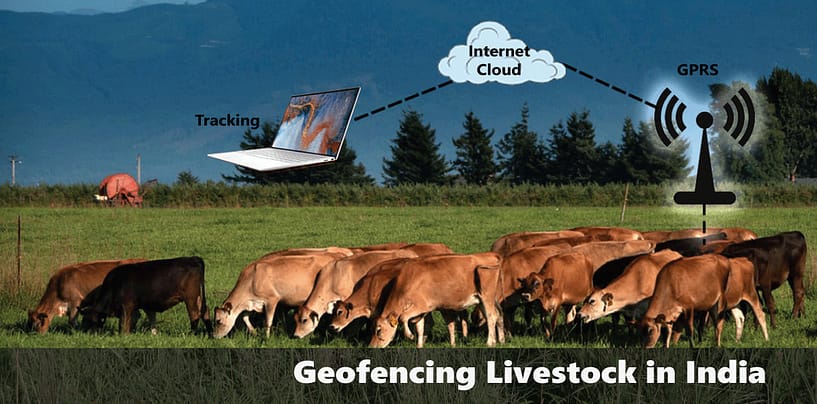 GPS is building Virtual technology boundary for cattle